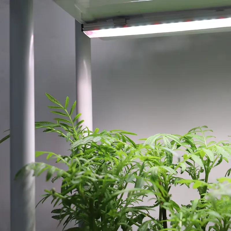 Vertical Planter - Verplaatsbaar verticaal 3-laags zelfwaterende slimme tuinplantbak
