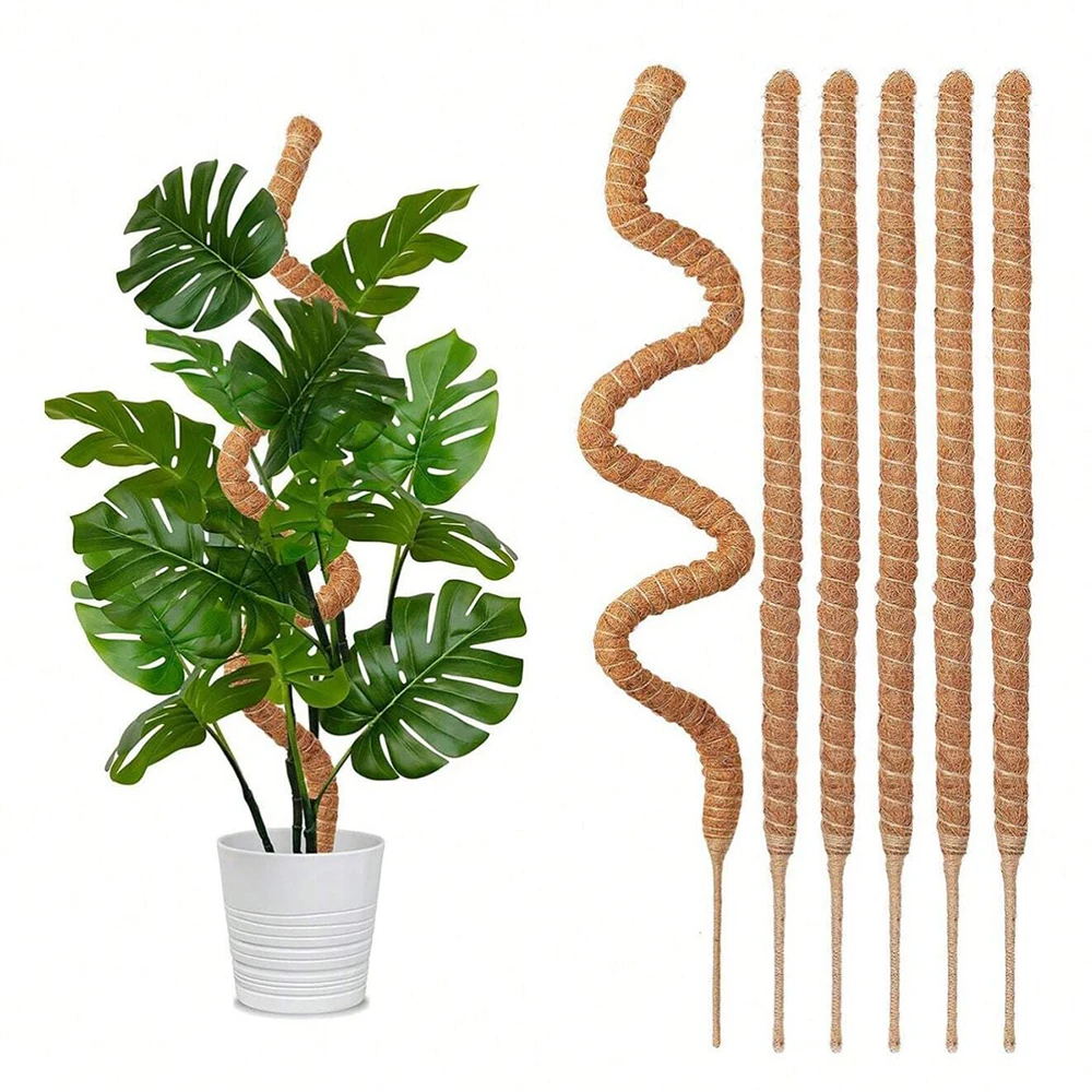 Indoor Herb Garden - Monstera Plant Mospaal Ondersteuningsstokken Binnen Klimplant