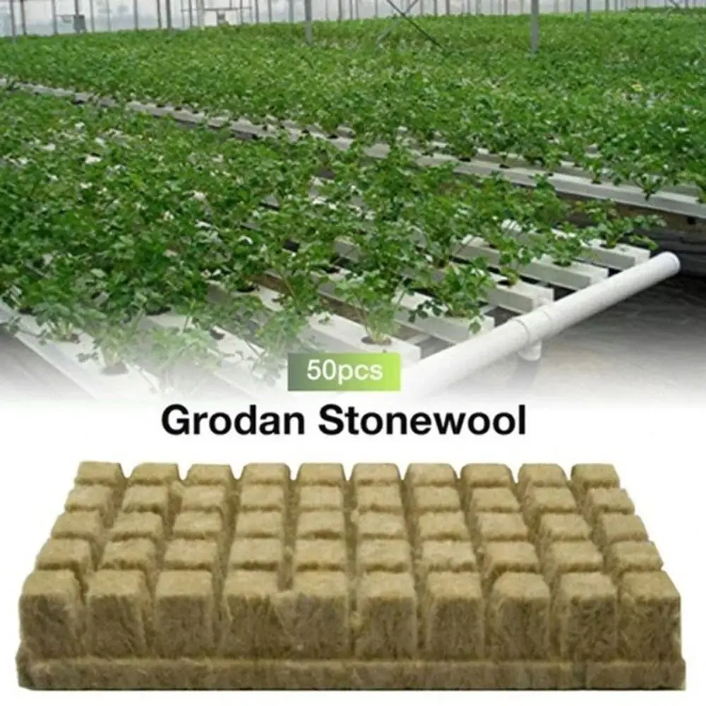Seed Starter Tray - 36/50 stuks Zaadstartblokjes Steenwol Enkelvoudige Gat