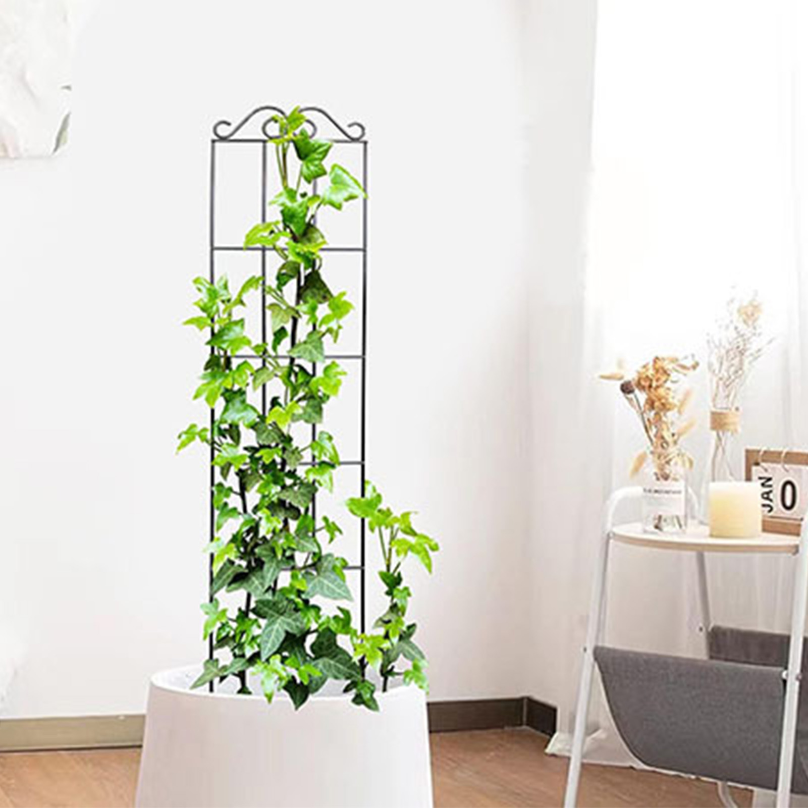 Tuinlatwerk Duurzaam Tuinlatwe - Indoor Herb Garden recensie en prijs