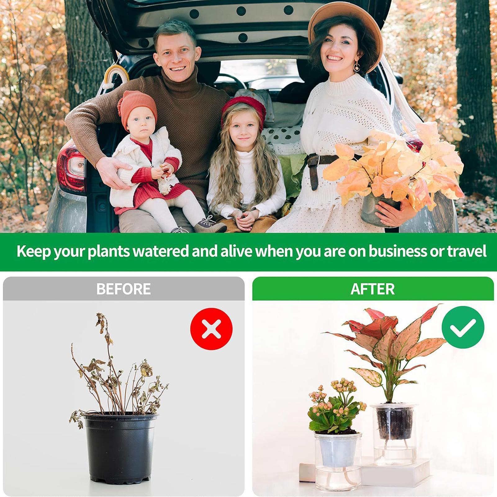 Plantenwikken voor zelfwaterge - Self Watering Planter recensie en prijs