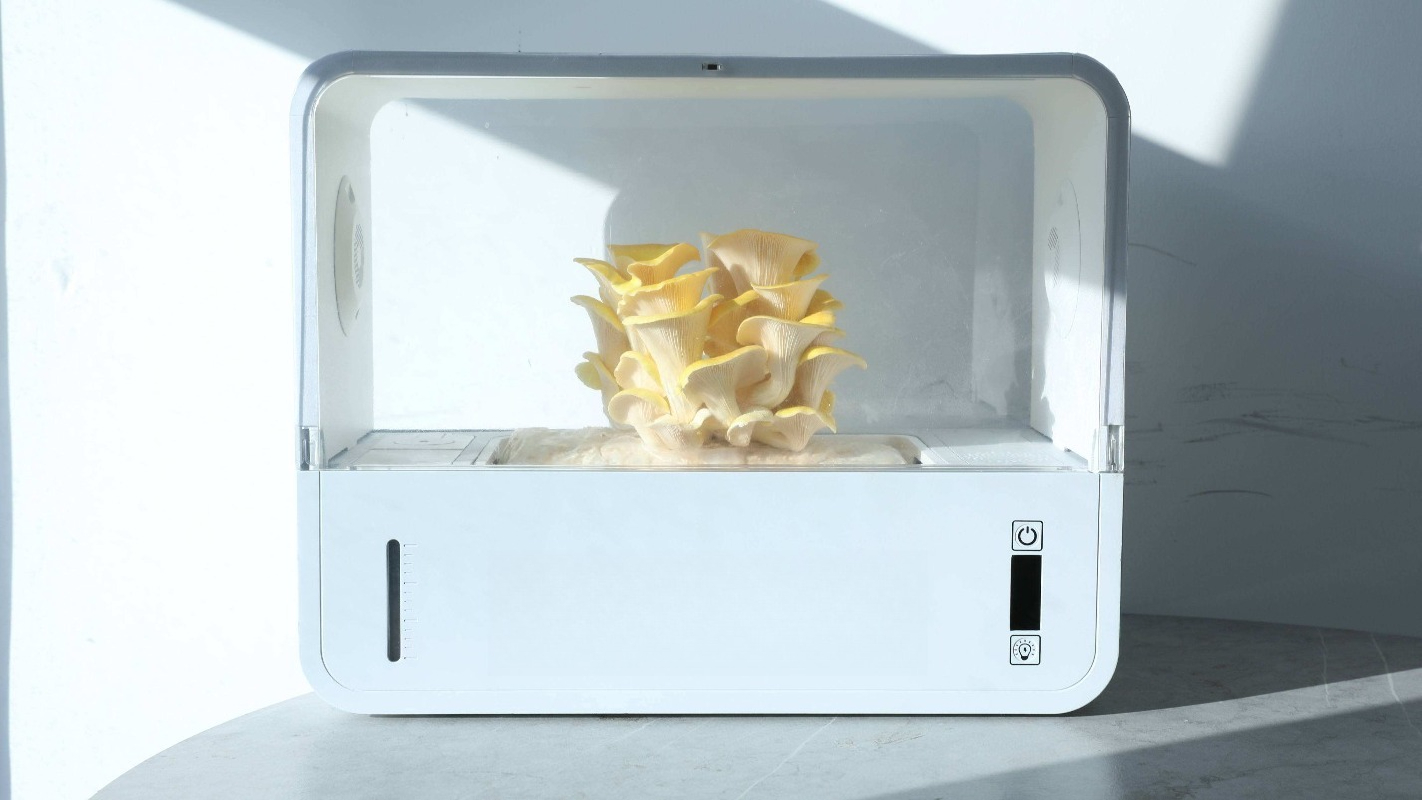 HydroBlue Desktop Mushroom Far - Hydroponic Kit recensie en prijs