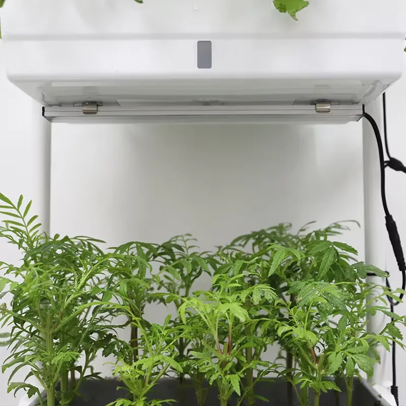 Verplaatsbaar verticaal 3-laag - Vertical Planter recensie en prijs