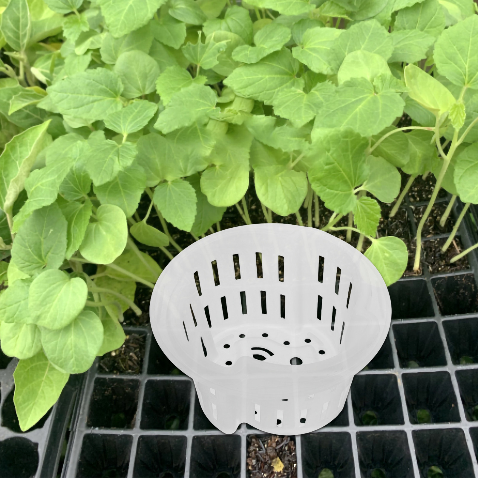 4 stuks, verdikte, ademende pl - Plant Pot recensie en prijs