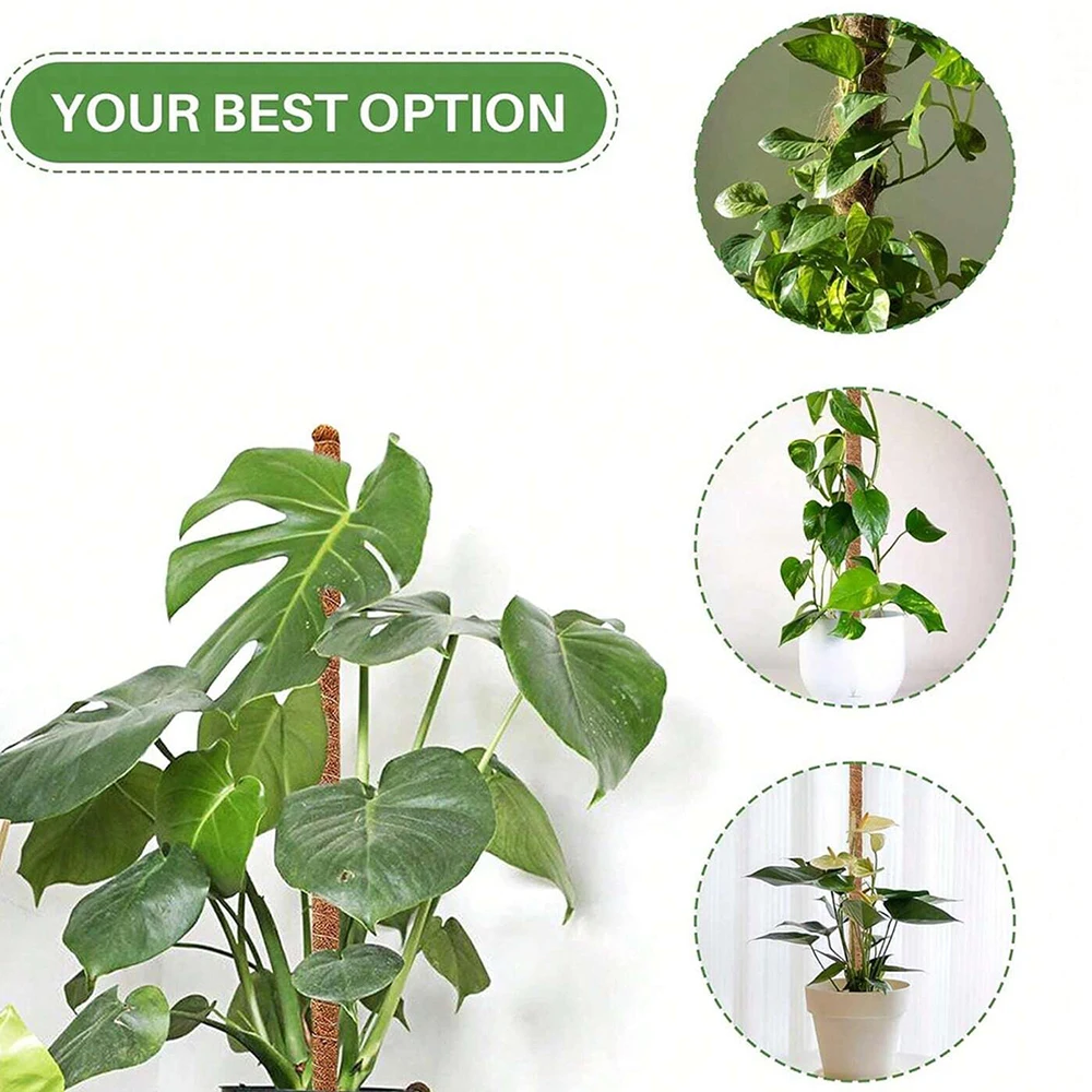 Monstera Plant Mospaal Onderst - Indoor Herb Garden recensie en prijs