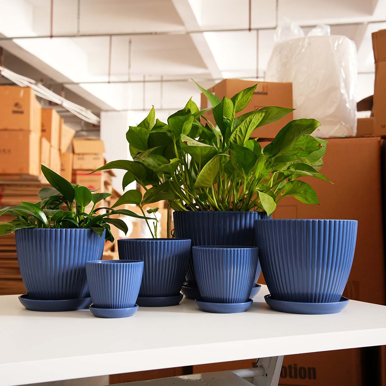 Verticale gestreepte verdikte  - Vertical Planter recensie en prijs