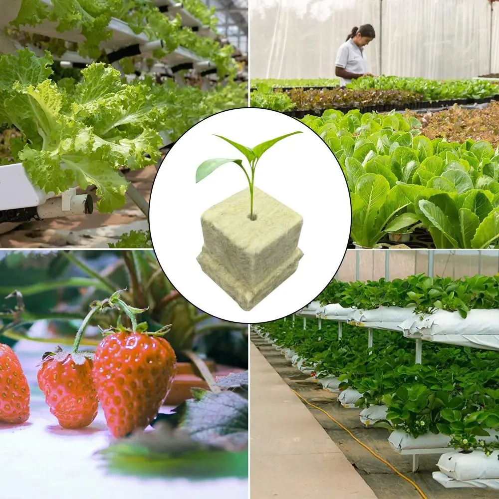 36/50 stuks Zaadstartblokjes S - Seed Starter Tray recensie en prijs