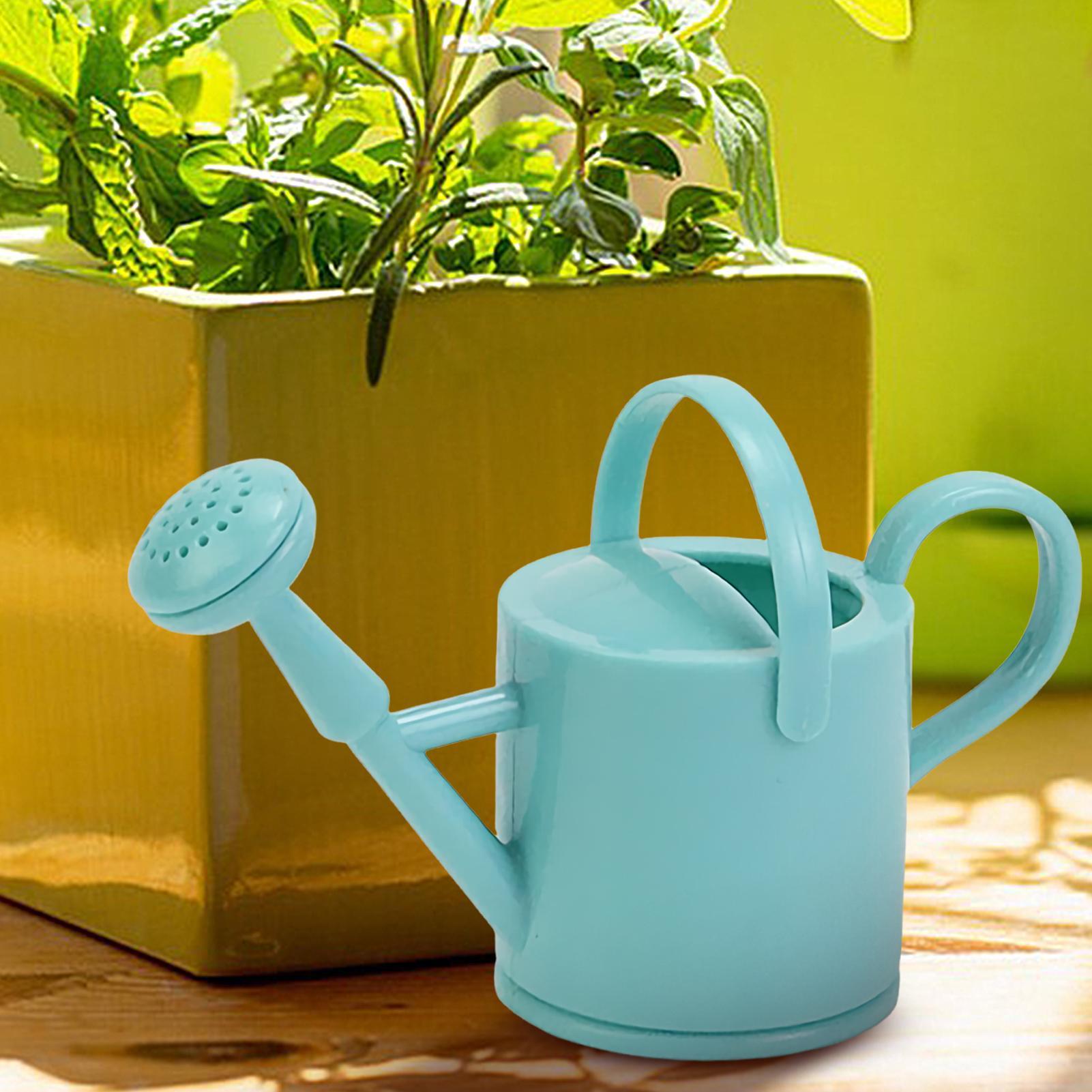 Mini schattige kindertuinbewat - Watering Can recensie en prijs