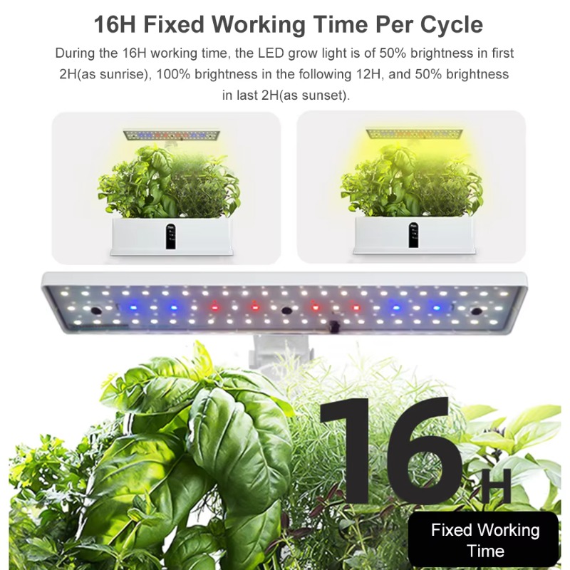 9 Pods Smart Hydroponics Kweek - Hydroponic Kit recensie en prijs
