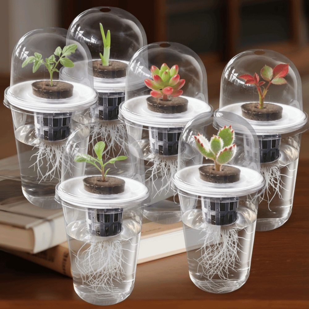 1-5pc Zichtbare Transparante P - Seed Starter Tray recensie en prijs
