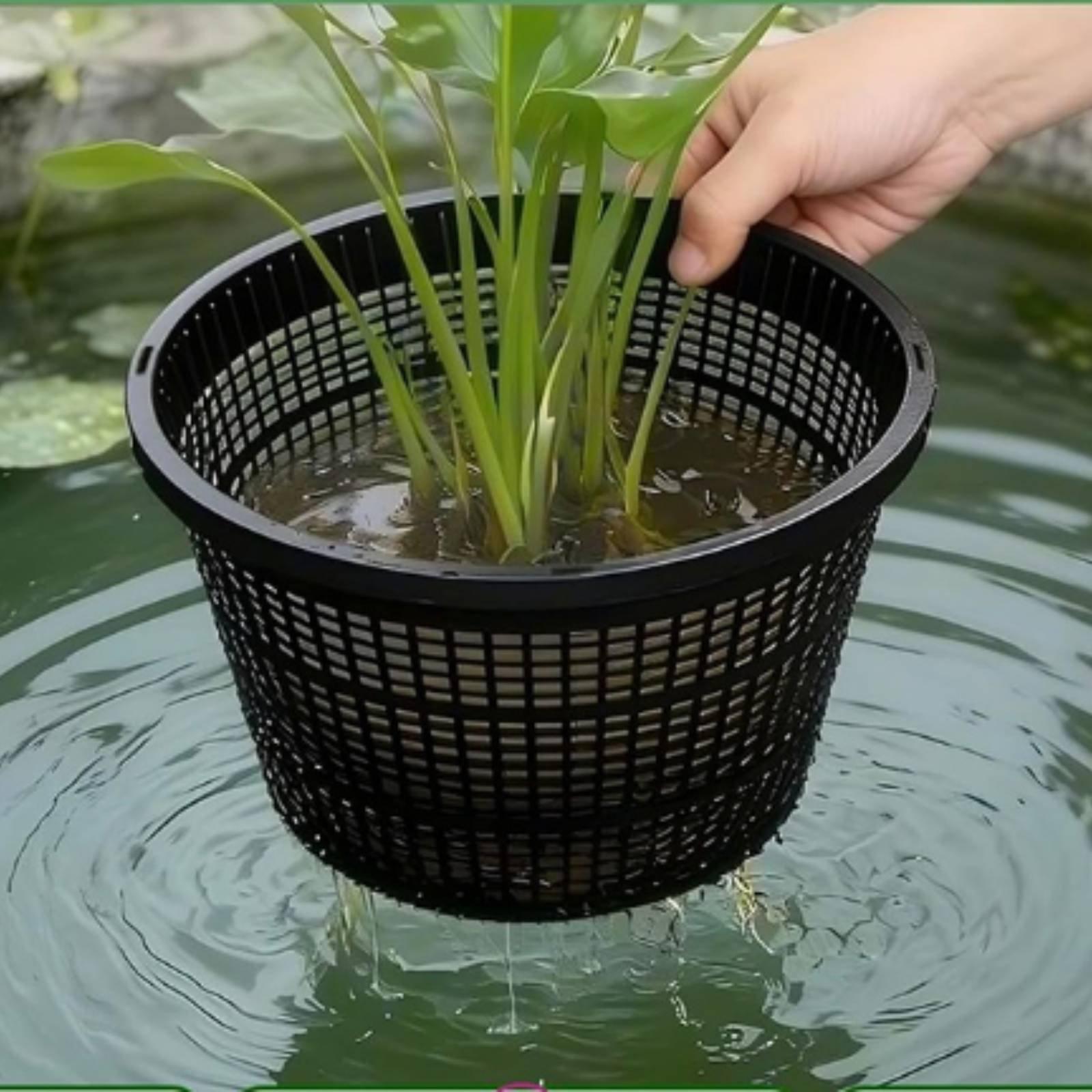 Hydroponische plantenbak met b - Plant Pot recensie en prijs