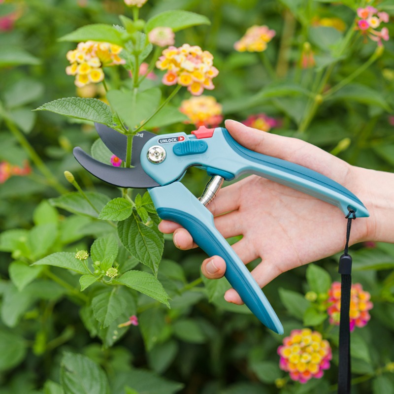 Hoge Koolstofstaal Bos Snoeisc - Plant Pot recensie en prijs