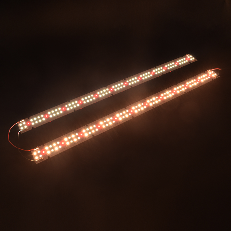 Hoge kwaliteit IP55 gecertific - Grow Light Led recensie en prijs